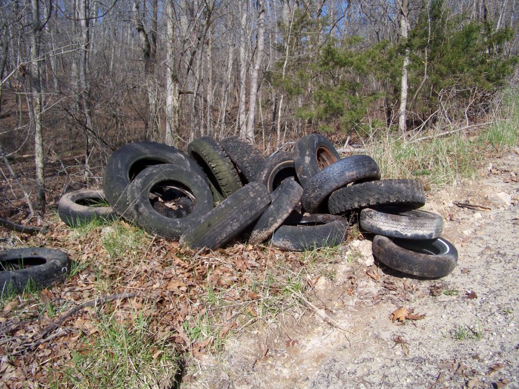 Illegally dumped tires.
